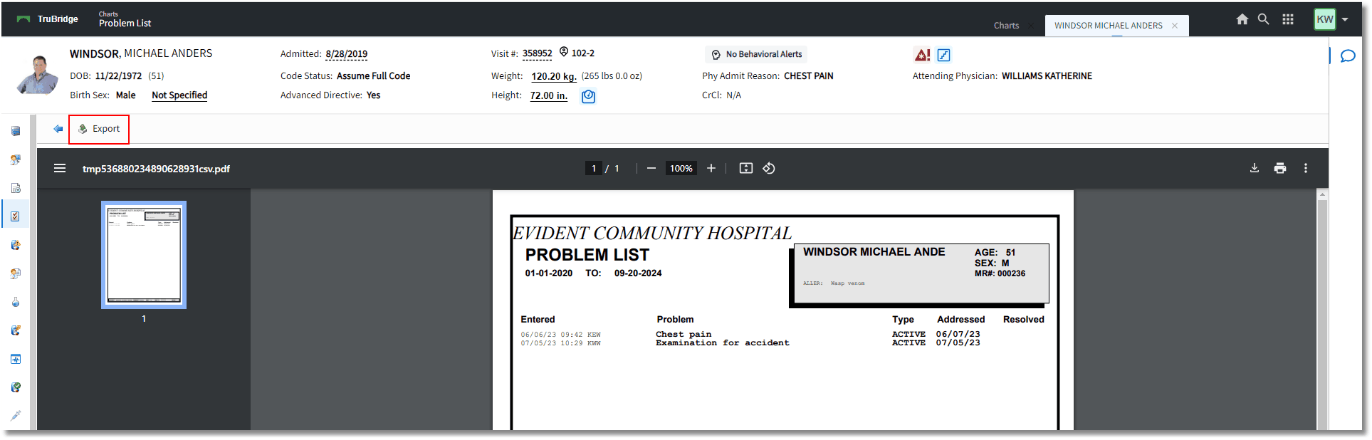 problem list report