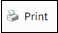 print_icon